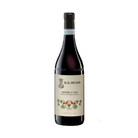 G.D. Vajra Barbera D'Alba - DOC